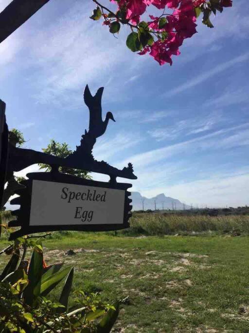 The Speckled Egg, 4 Promenade Rd, Lakeside, Kapstadt Exterior foto